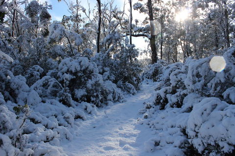 Cradle Mountain Hotel - C Tourism 4