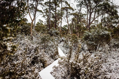 Cradle Mountain Hotel - C Tourism 6