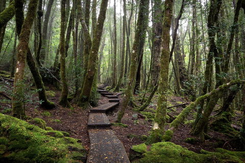 Peppers Cradle Mountain Lodge - C Tourism 25