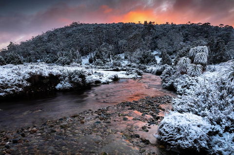Peppers Cradle Mountain Lodge - C Tourism 44