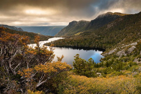 Peppers Cradle Mountain Lodge - C Tourism 38