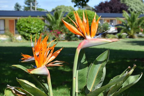 Beachway Motel - C Tourism 21