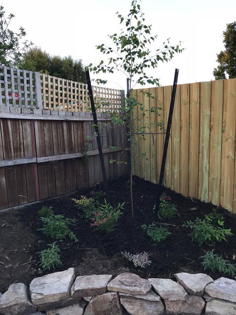 Self Contained Beach View Apartment - C Tourism 11