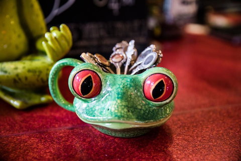 The Pickled Frog - C Tourism 13