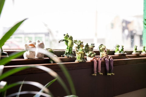The Pickled Frog - C Tourism 12