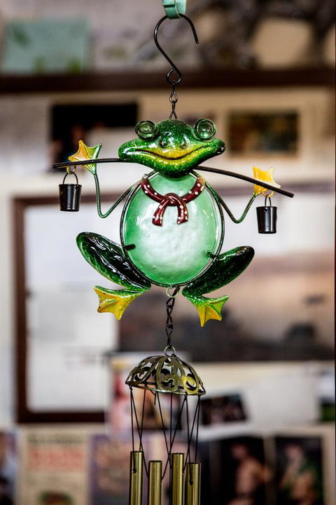 The Pickled Frog - C Tourism 35