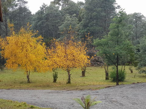 Cradle Alpine Retreat - C Tourism 3