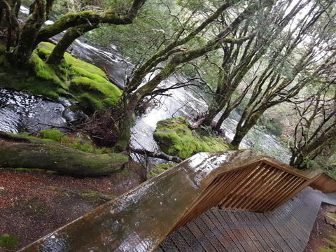 Cradle Alpine Retreat - C Tourism 13