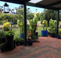 Blue Wren Bungalow - C Tourism