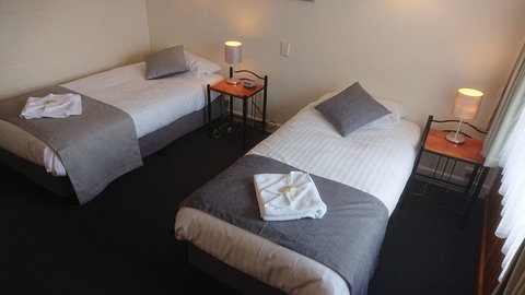 Mt Lyell Motor Inn - C Tourism 23