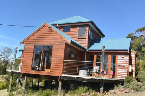 The Tree House - C Tourism 1