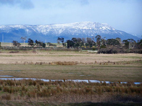 Lyttleton Cottage - C Tourism 30