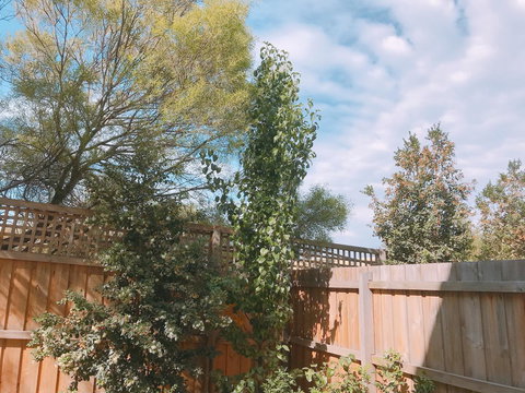 Ellia Doncaster Apartment - C Tourism 17