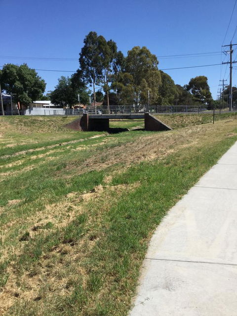 Flora Hill Creek Views - C Tourism 19