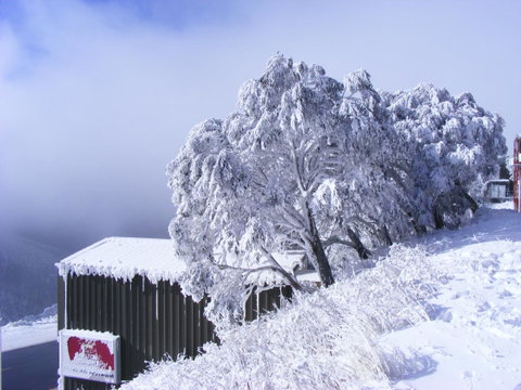 Arlberg Hotham - C Tourism 15