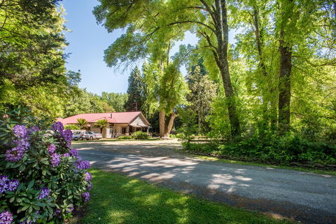 Avalon House - C Tourism 0