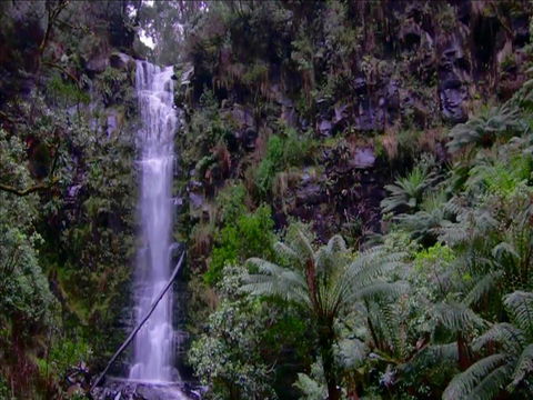 Great Ocean Road Resort - C Tourism 16