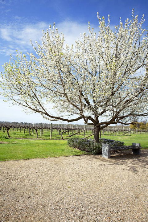 Lancemore Milawa - C Tourism 12