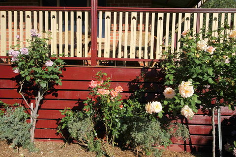 Oxford Rise Apartment - C Tourism 21