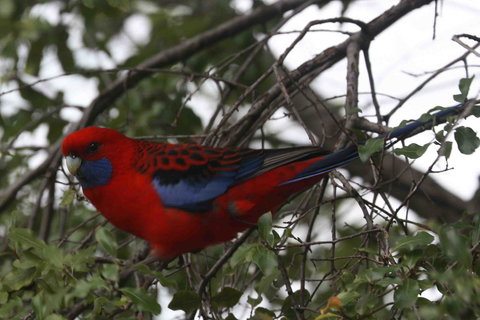 Oxford Rise Apartment - C Tourism 22