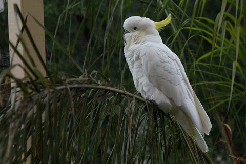 Oxford Rise Apartment - C Tourism 23