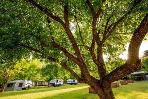 Discovery Parks - Bright - C Tourism 31