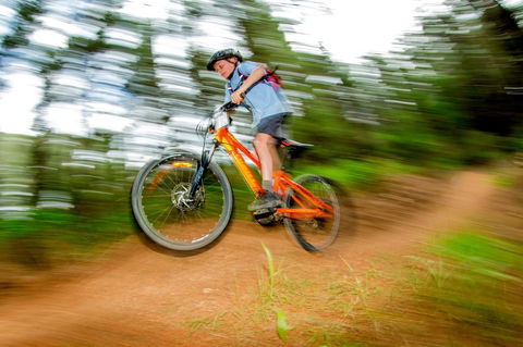 Discovery Parks - Bright - C Tourism 24