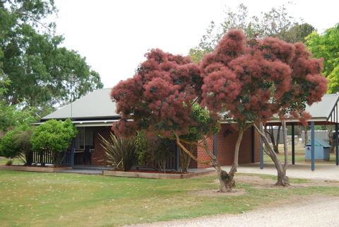 Greenvale Holiday Units - C Tourism 9