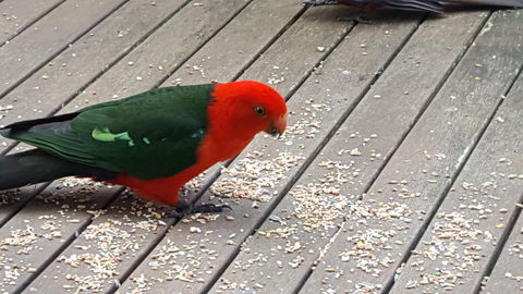 Wilsons Promontory Motel - C Tourism 27