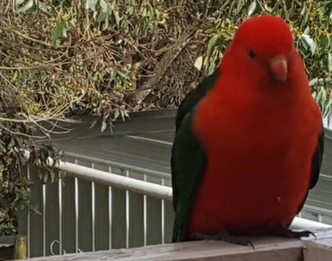 Wilsons Promontory Motel - C Tourism 23