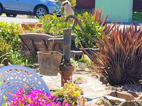 Wilsons Promontory Motel - C Tourism 8
