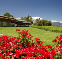 Balgownie Estate Vineyard Resort  Spa - C Tourism