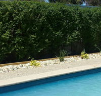 Robinvale Bridge Motel - C Tourism