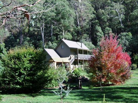Shady Brook Cottages - C Tourism 7