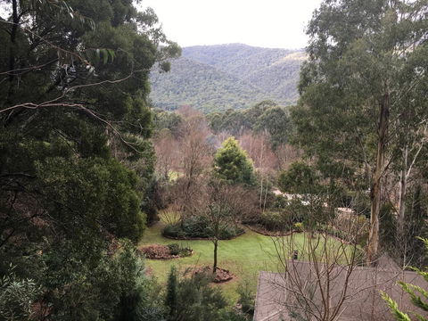 Shady Brook Cottages - C Tourism 18