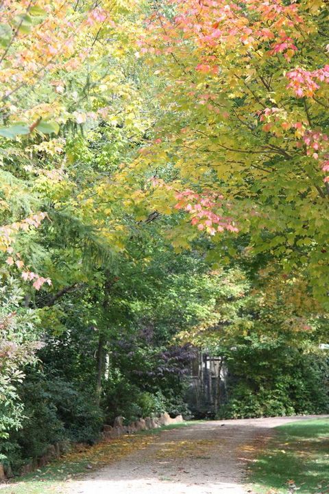 Shady Brook Cottages - C Tourism 14