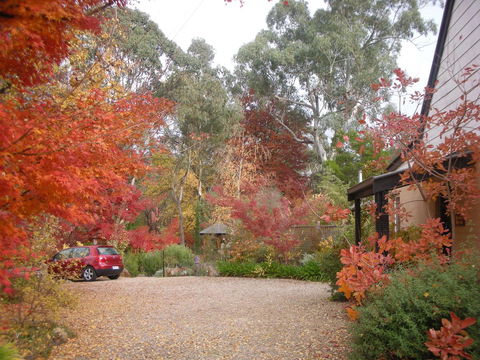 Merrimeet Cottages - C Tourism 5
