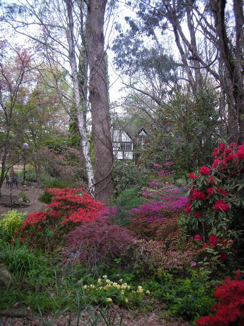 Merrimeet Cottages - C Tourism 21