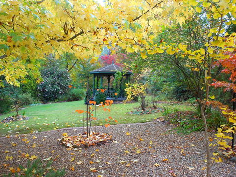 Merrimeet Cottages - C Tourism 7