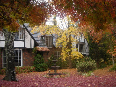 Merrimeet Cottages - C Tourism 0