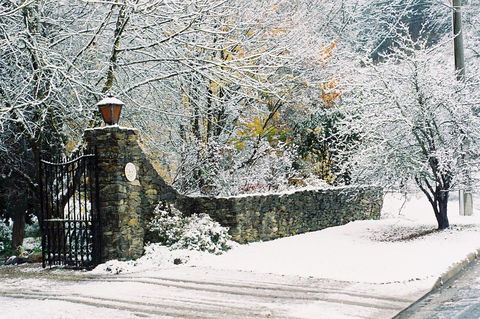 Merrimeet Cottages - C Tourism 17