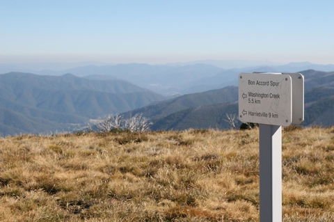 The Harrietville Snowline Hotel - C Tourism 31