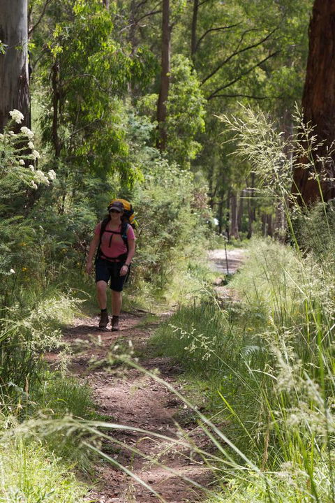 The Harrietville Snowline Hotel - C Tourism 11