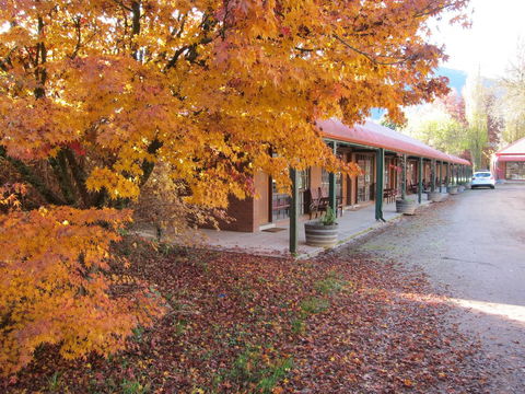 The Harrietville Snowline Hotel - C Tourism 21