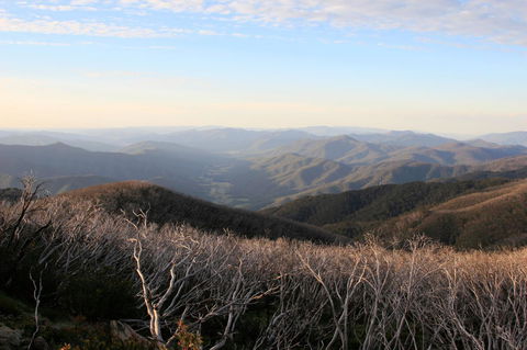 The Harrietville Snowline Hotel - C Tourism 36