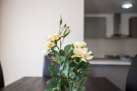Holiday Rose - C Tourism 8