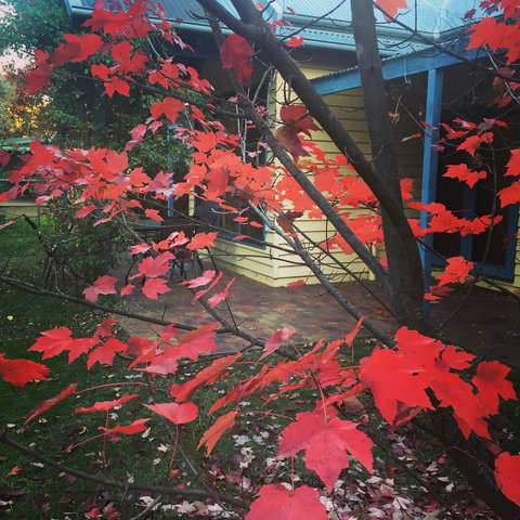 The Orchard House - C Tourism 27