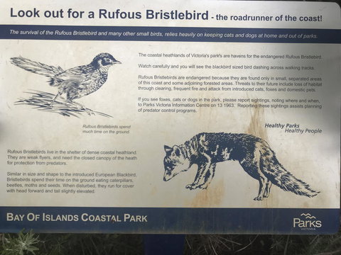 Sunsets On Martyrs Luxury Coastal Beach House Peterborough - C Tourism 40