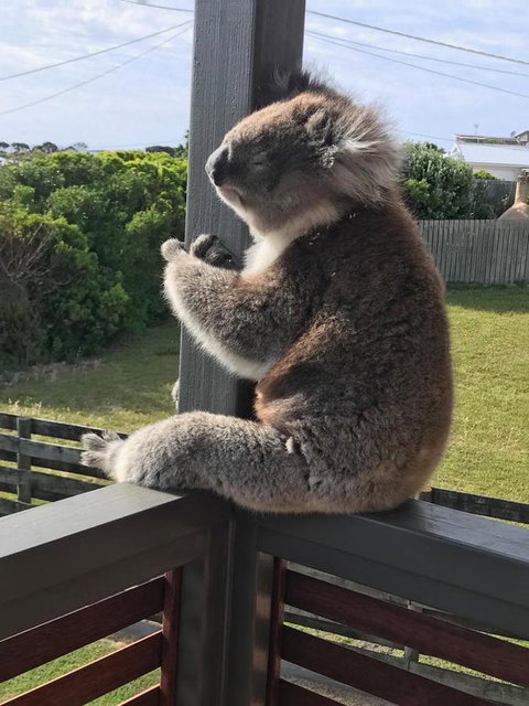 Sunsets On Martyrs Luxury Coastal Beach House Peterborough - C Tourism 28