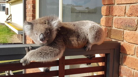 Sunsets On Martyrs Luxury Coastal Beach House Peterborough - C Tourism 27